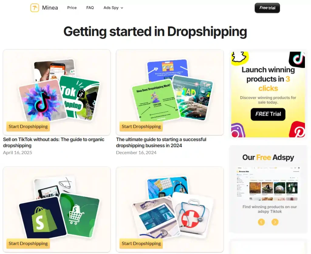 Minea Dropshipping